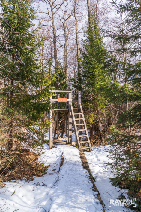 Vysoké Tatry v zime